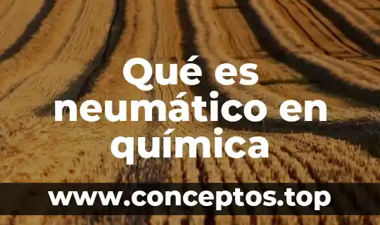 Qué es neumático en química