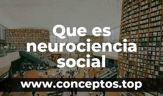 Que es im centro social hecendario 3 Que es neurociencia social