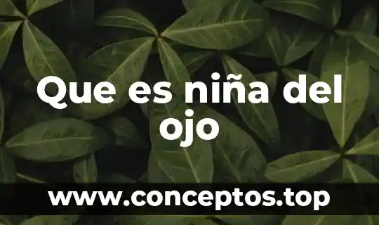 Que es niña del ojo