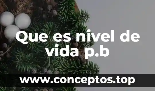 Que es nivel de vida p.b