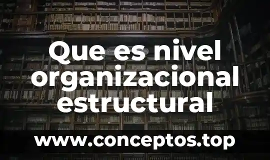 Que es nivel organizacional estructural