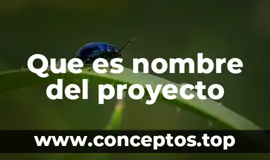 Que es la justificacion de un proyecto artistico 6 Que es nombre del proyecto