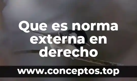 Que es norma externa en derecho