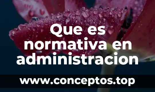 Que es normativa en administracion