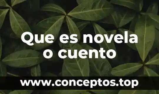 Que es color en un cuento 8 Que es novela o cuento
