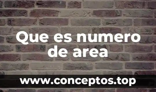 Qué es un número capicúa de seis cifras 4 Que es numero de area