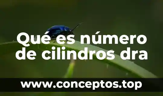 Número de contacto que es 4 Qué es número de cilindros dra