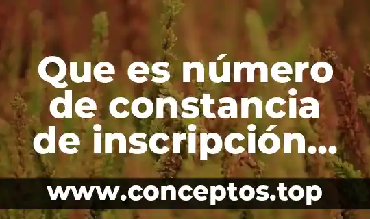 Que es número de constancia de inscripción si lo tiene