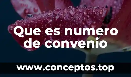 Que es numero de convenio