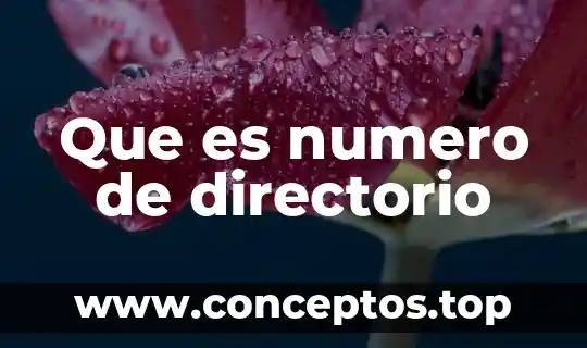 Que es numero de directorio