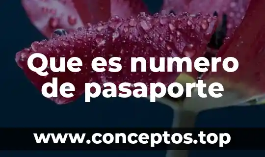 Que es numero de pasaporte