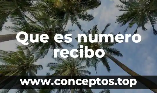 Que es nombre del servicio en recibo de la luz 3 Que es numero recibo
