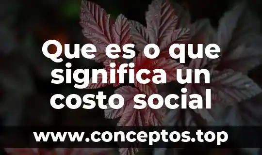 Que es o que significa un costo social