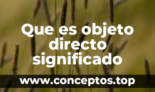 Que es objeto directo significado