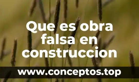 Que es la premisa en una obra de teatro 5 Que es obra falsa en construccion