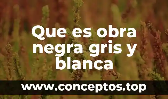 Que es mejor luz calida o luz blanca 8 Que es obra negra gris y blanca