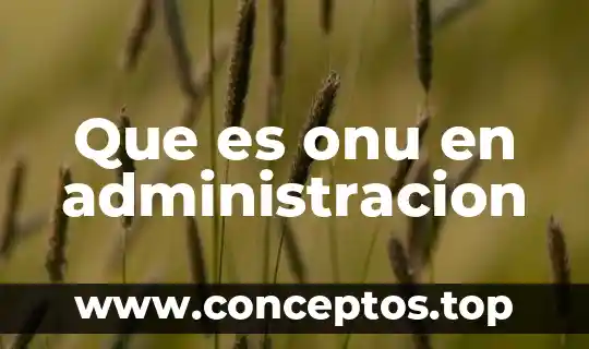 Que es la cultura de la paz de la onu 8 Que es onu en administracion