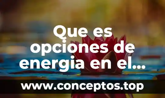 Que es un panel de discusion publico 7 Que es opciones de energia en el panel de control