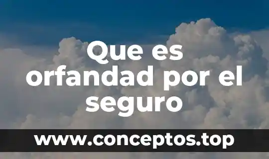 Que es el seguro de separación individualizado 5 Que es orfandad por el seguro
