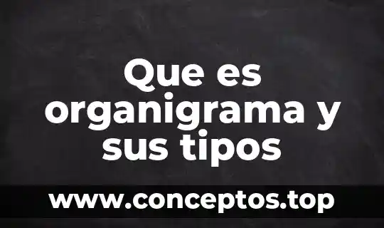 Que es organigrama y sus tipos
