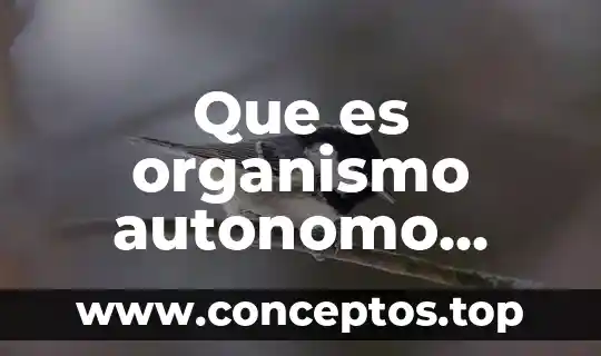 Que es organismo autonomo constitucional
