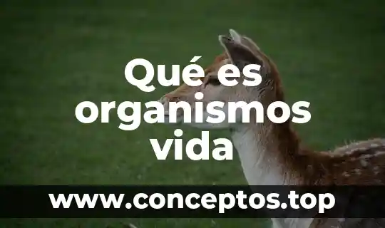 Qué es organismos vida