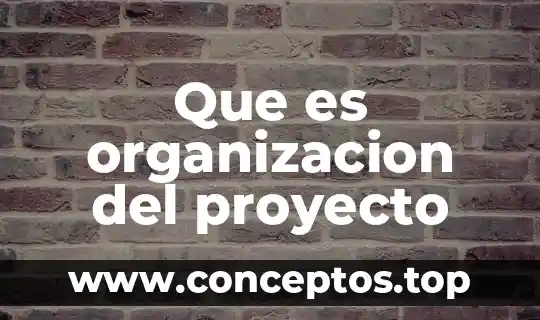 Que es organizacion del proyecto