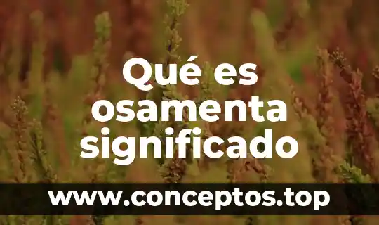 Qué es osamenta significado