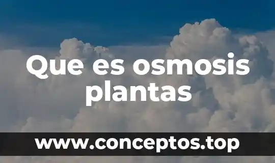 Que es osmosis plantas