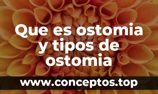 Que es ostomia y tipos de ostomia