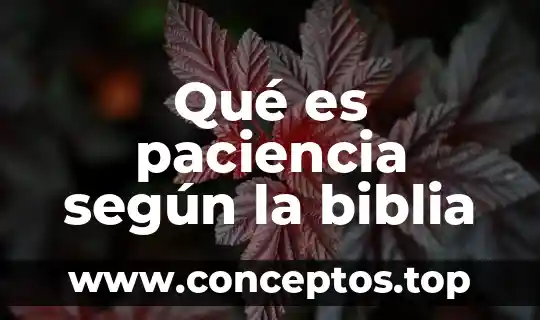 Qué es paciencia según la biblia