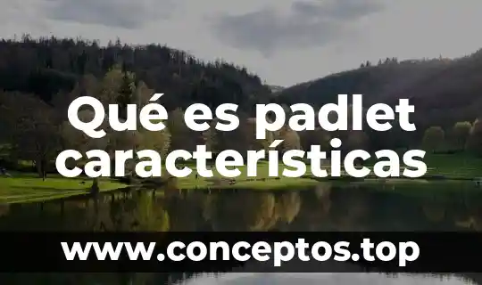 Que es una variable metodologia sus caracteristicas 8 Qué es padlet características