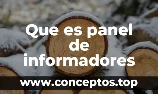 Que es un panel de discusion publico 3 Que es panel de informadores