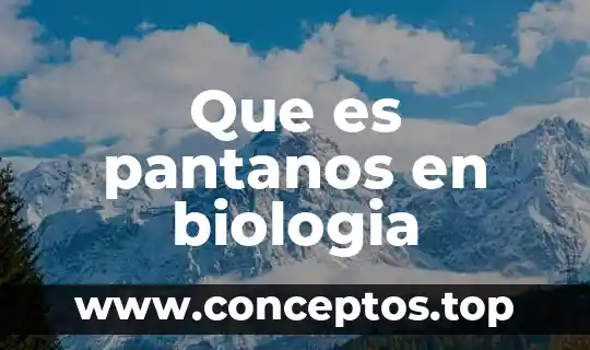 Qué es un sistema semiabierto en biologia 6 Que es pantanos en biologia