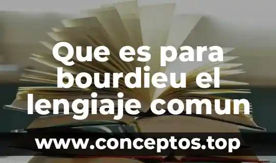 Buscar qué es el máximo común múltiplo de un número 5 Que es para bourdieu el lengiaje comun
