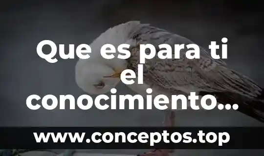 Que es para ti el conocimiento empírico yahoo