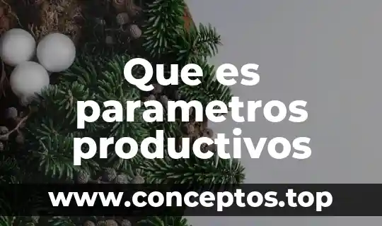 Que es parametros productivos