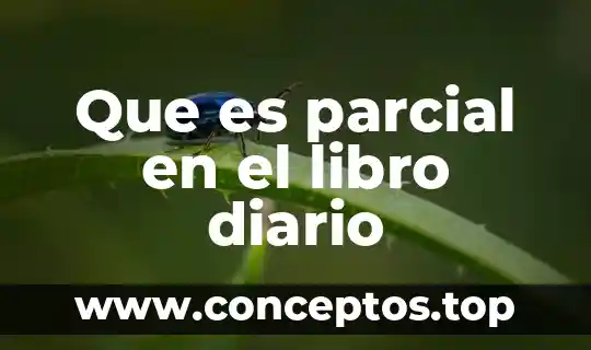 Que es una cuenta de asiento de diario 3 Que es parcial en el libro diario