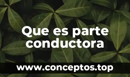 Que es parte conductora