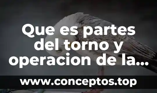 Que es partes del torno y operacion de la fresadora