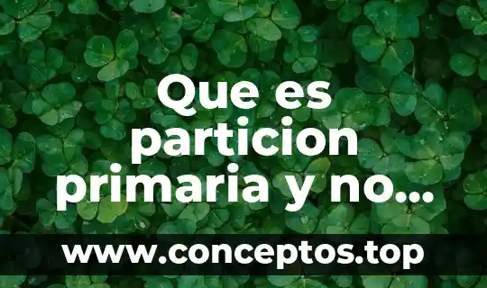 Que es particion primaria y no asignado