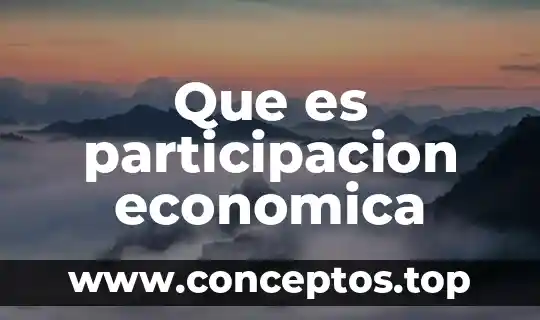 Que es participacion economica