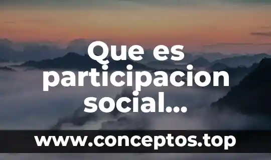 Que es participacion social democratica