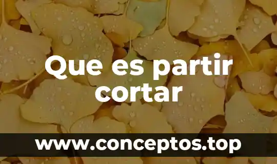 Qué es icono de pegar cortar portapapeles en power point 5 Que es partir cortar