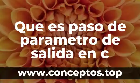 Que es paso de parametro de salida en c