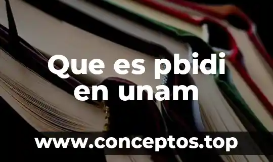 Que es pbidi en unam