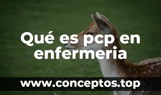 Qué es pcp en enfermeria