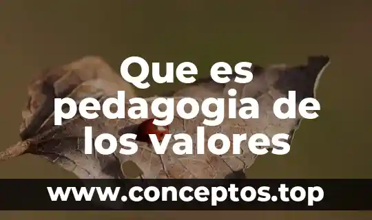 Que es pedagogia de los valores