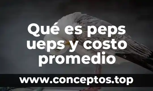 Qué es peps ueps y costo promedio