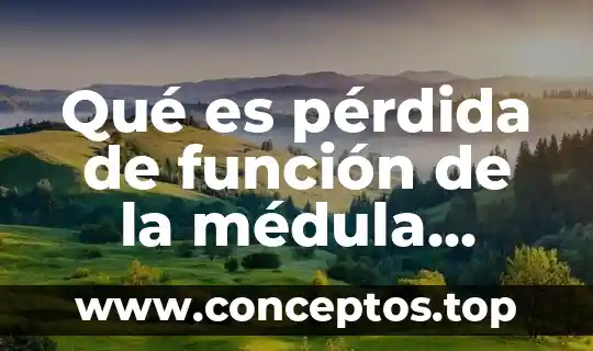 Qué es pérdida de función de la médula espinal